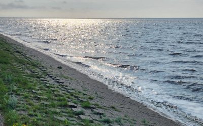 Neuharlingersiel